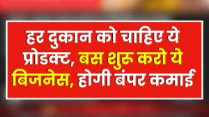 Biodegradable Carry Bag Business