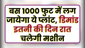 Biodegradable Plate Making Business