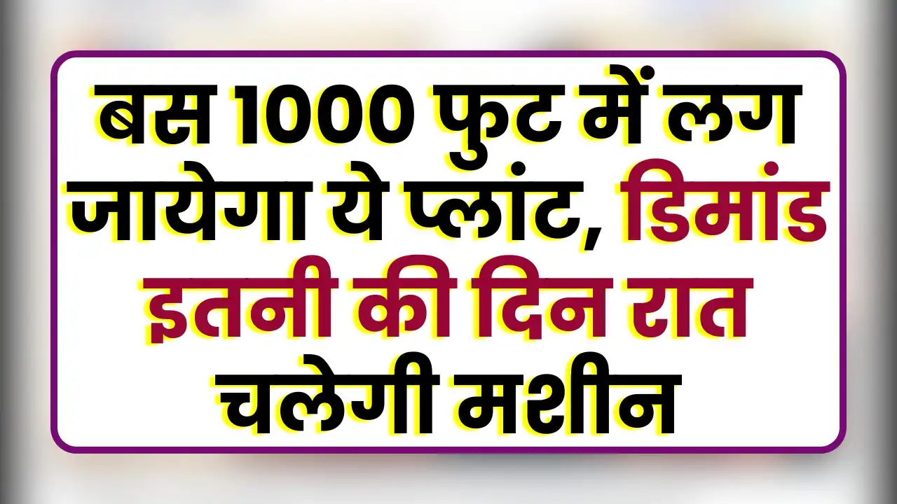 Biodegradable Plate Making Business