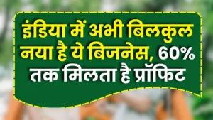 Mushroom Lether Business