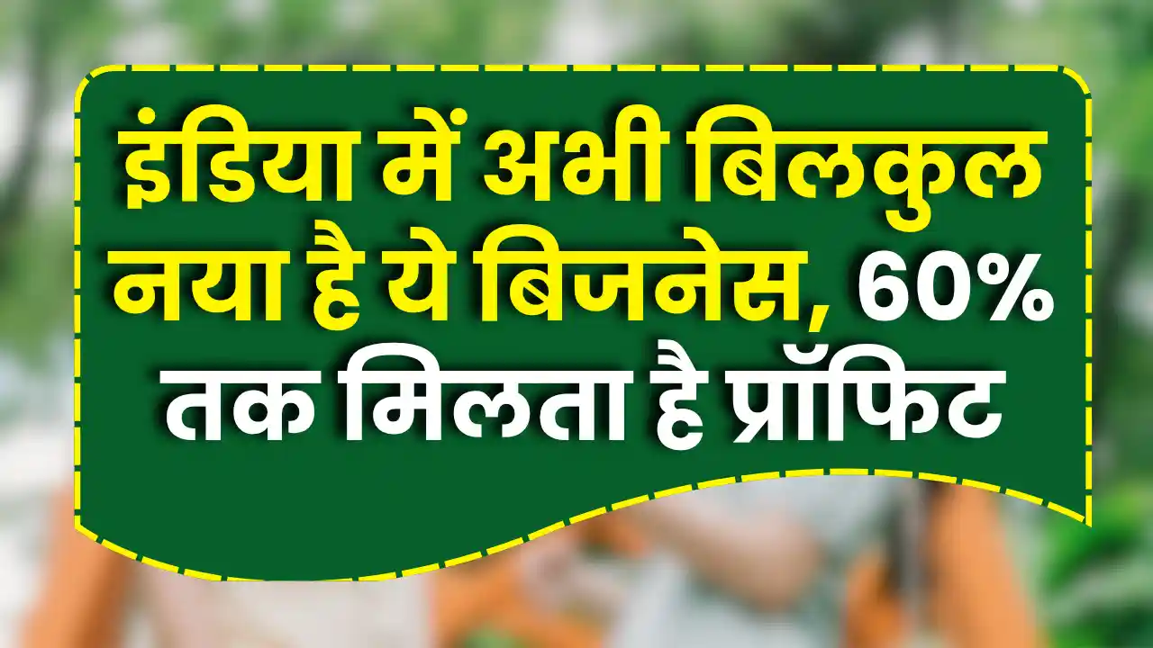 Mushroom Lether Business