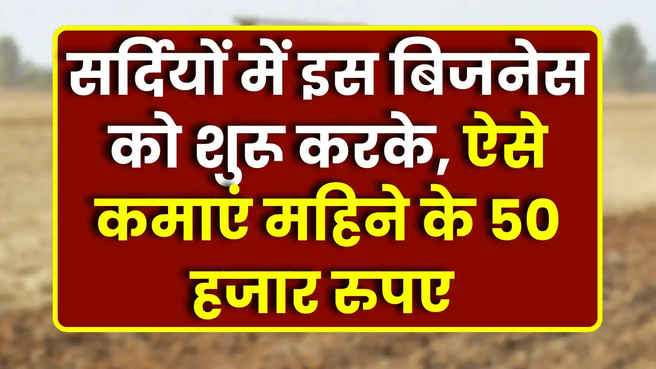 warm clothing business